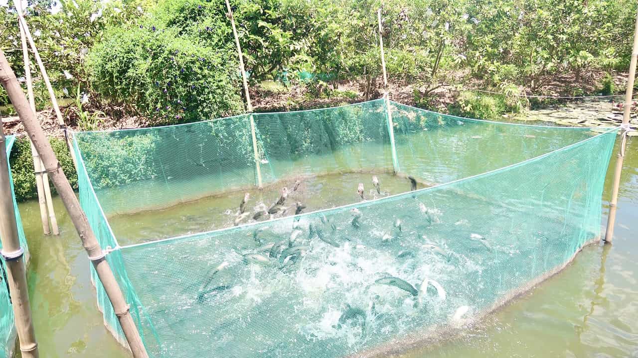 Tour Cần Thơ 1 Ngày – Khám phá vẻ đẹp đất “Tây Đô”