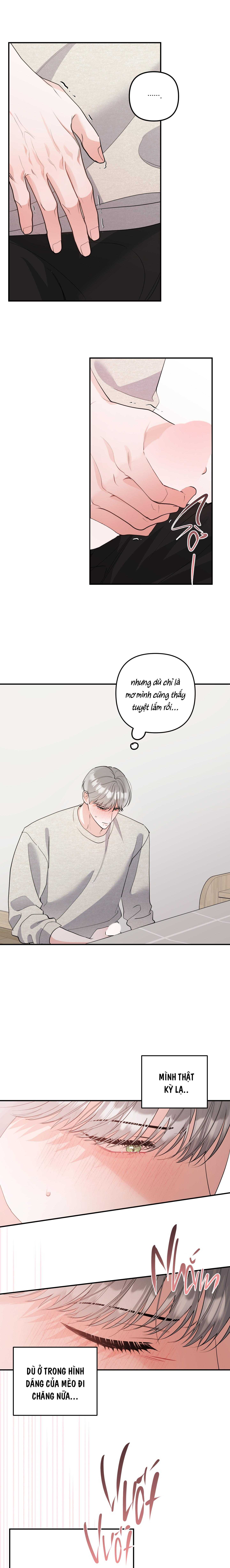 list truyện ngắn chịt chịt chapter 71 10