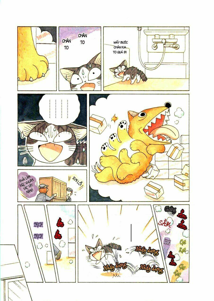 chi's sweet home chapter 58 4