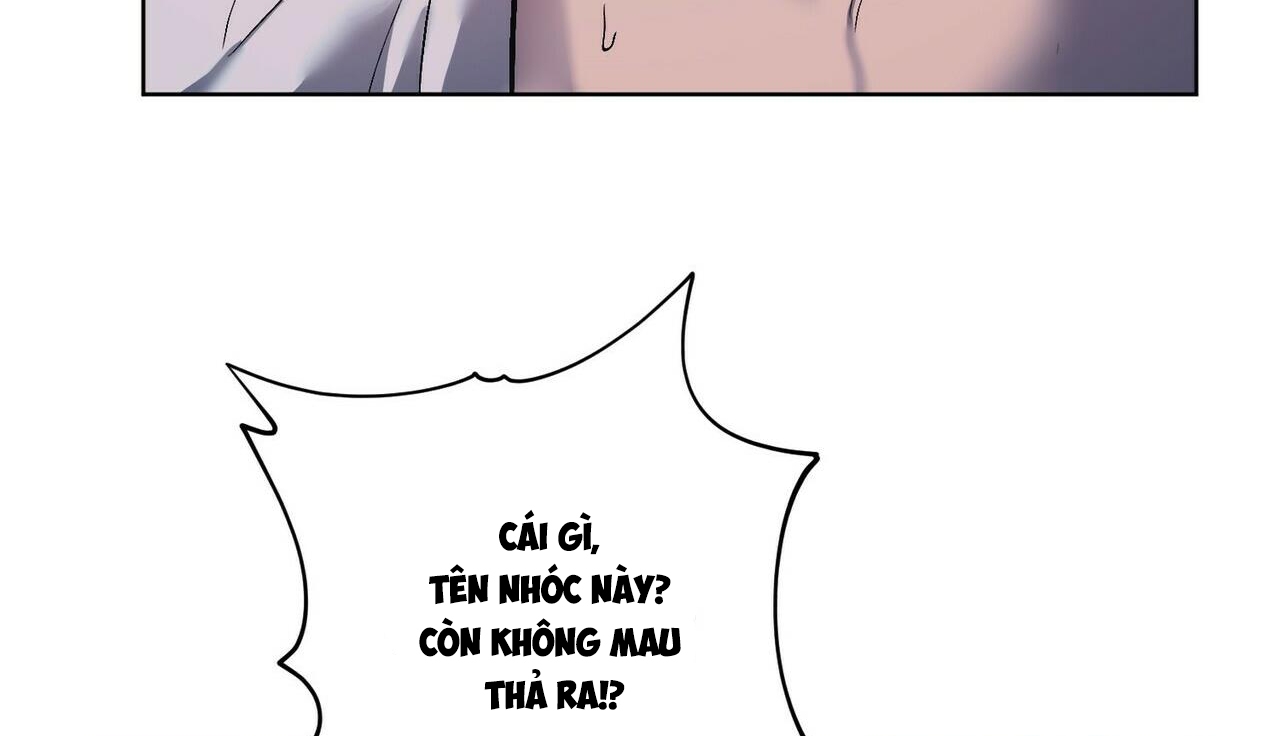 chàng dâu nhà họ kang chapter 22 30