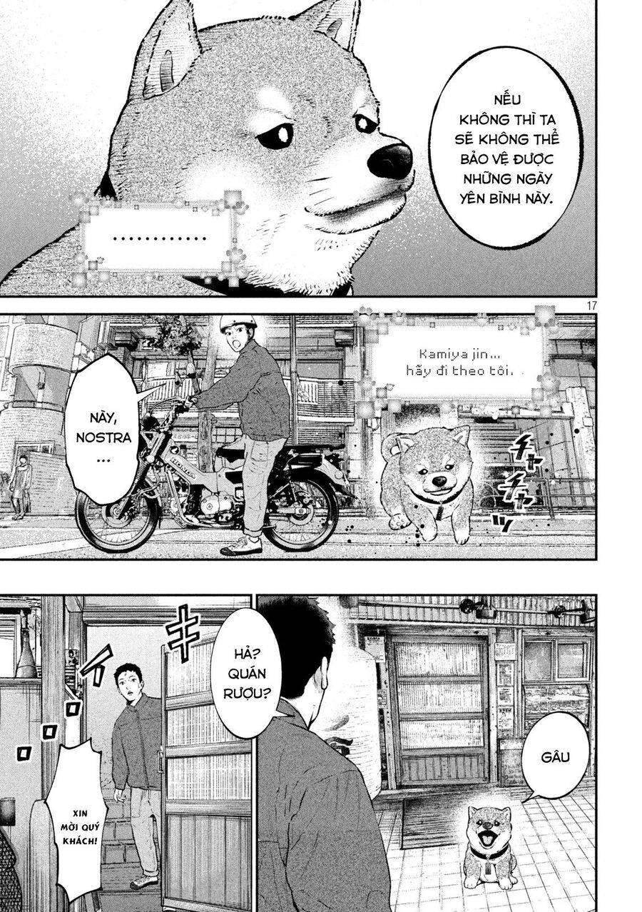 mật danh: nostra chapter 18 16