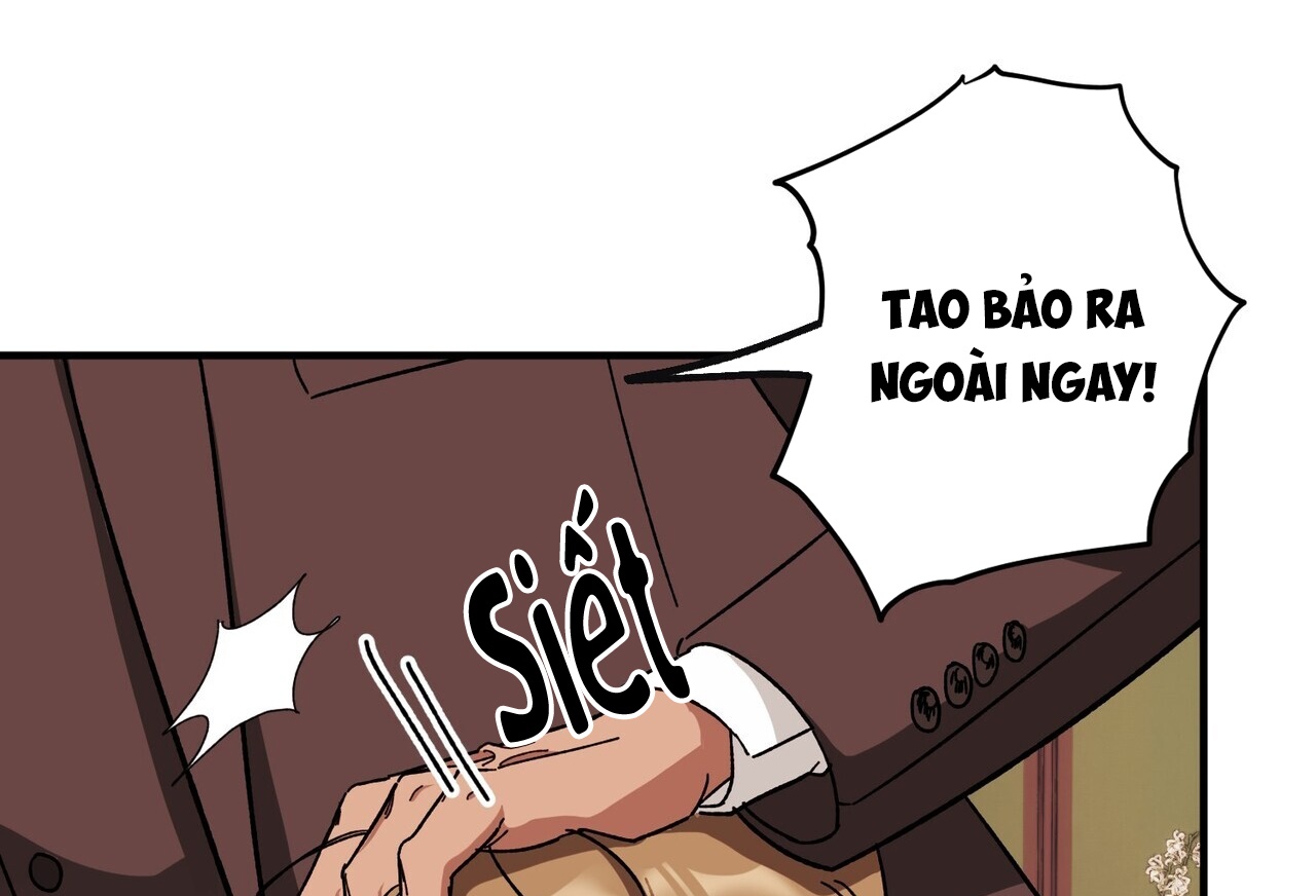 chàng dâu nhà họ kang chapter 40 99