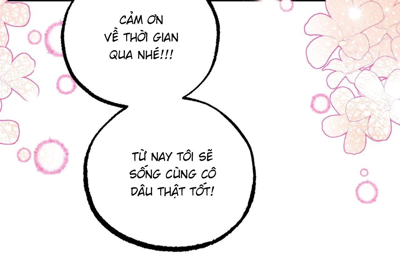 những chú thỏ của hapypy chapter 65 153