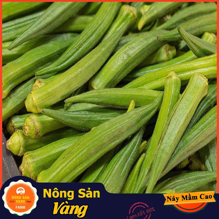 Hạt giống Đậu Bắp Cao Sản ( Gói 20 Gram ) - Nông Sản Vàng