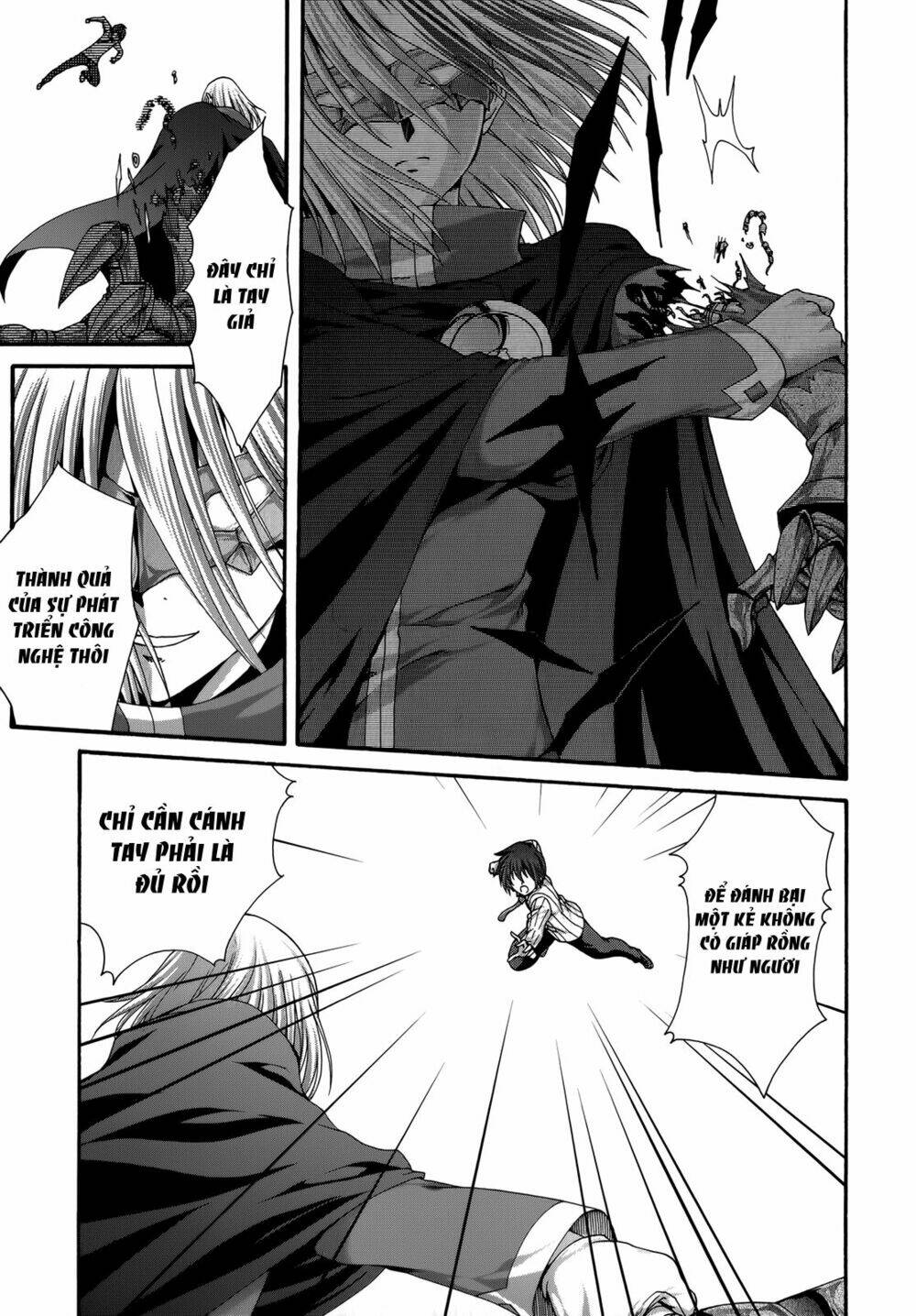 seikoku no dragonar chapter 23 11