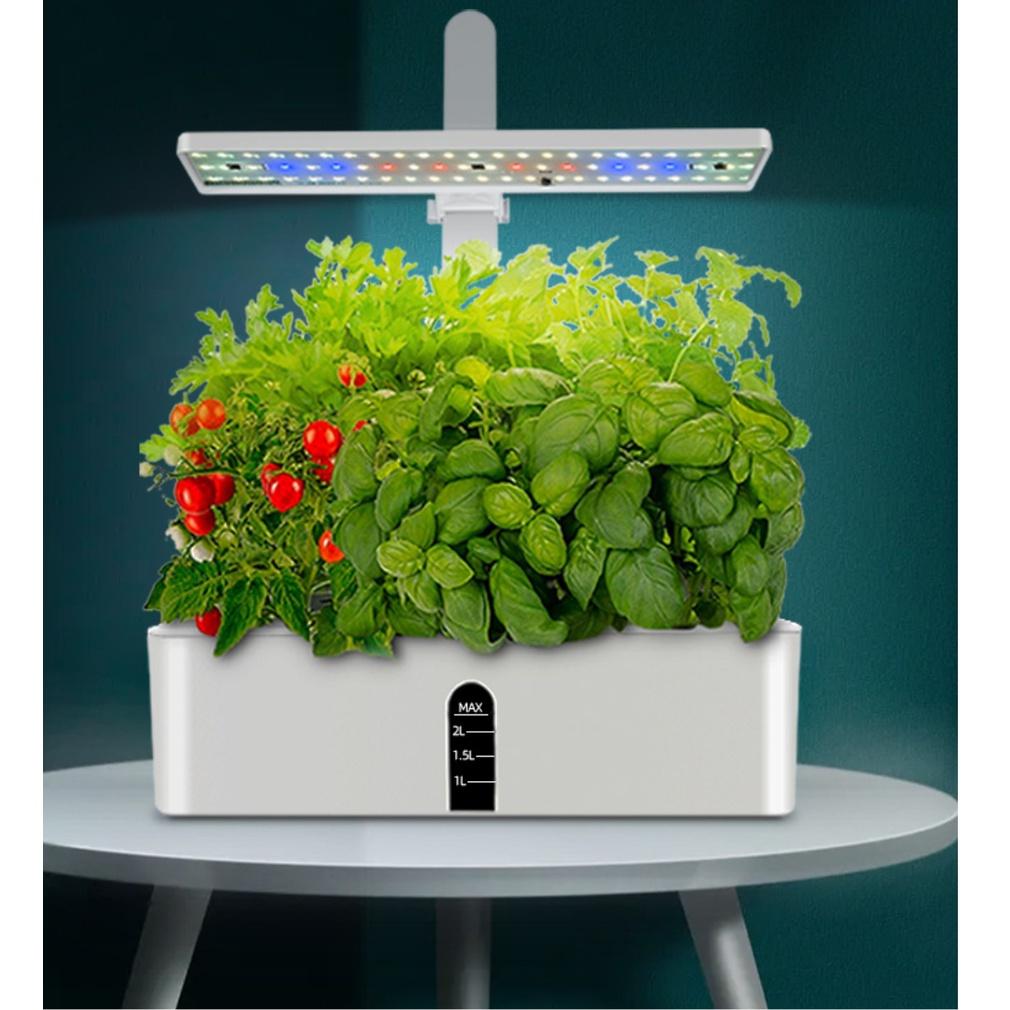 Máy Nảy Mầm Gốc Nhanh Smart Cultivation