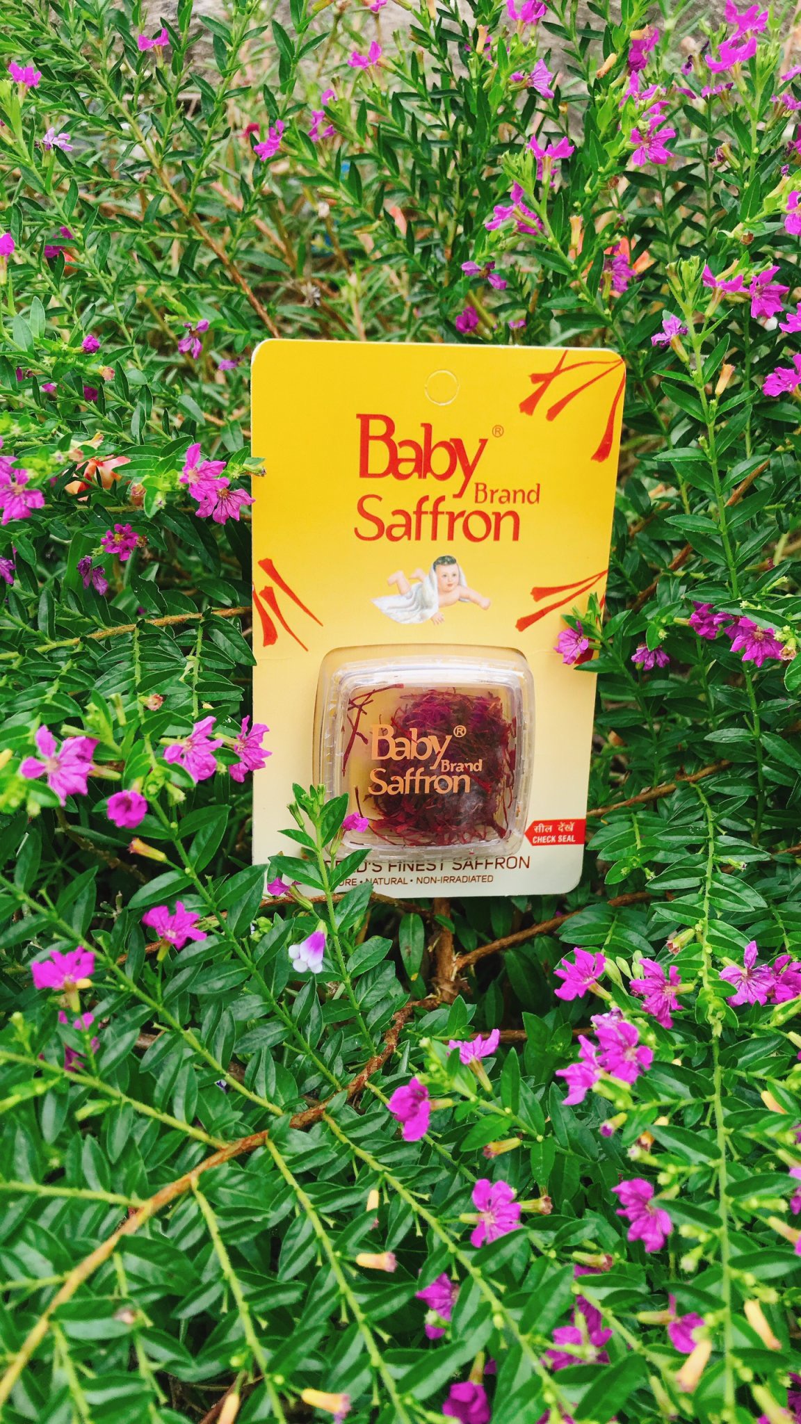 Nhụy Hoa Nghệ Tây Saffron Baby (1Gram) - Chính Hãng