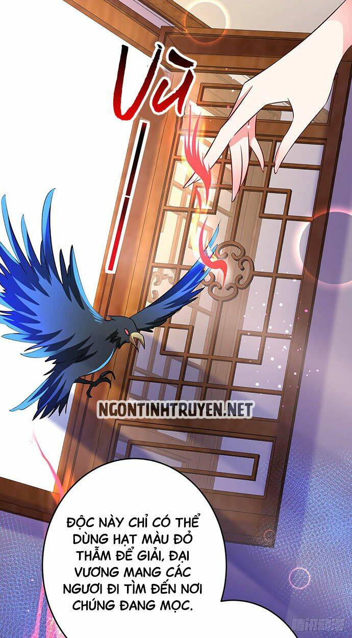 bệnh kiều phu quân ngạnh thượng cung chapter 11 8