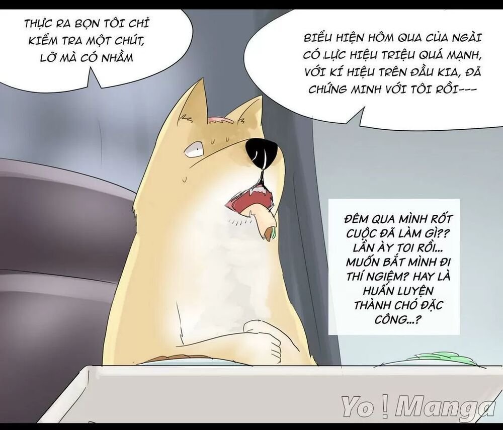 một con chó chapter 30 6