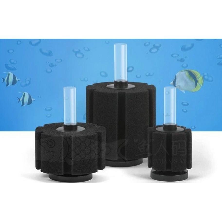 Lọc Vi Sinh Xinyou XY-380
