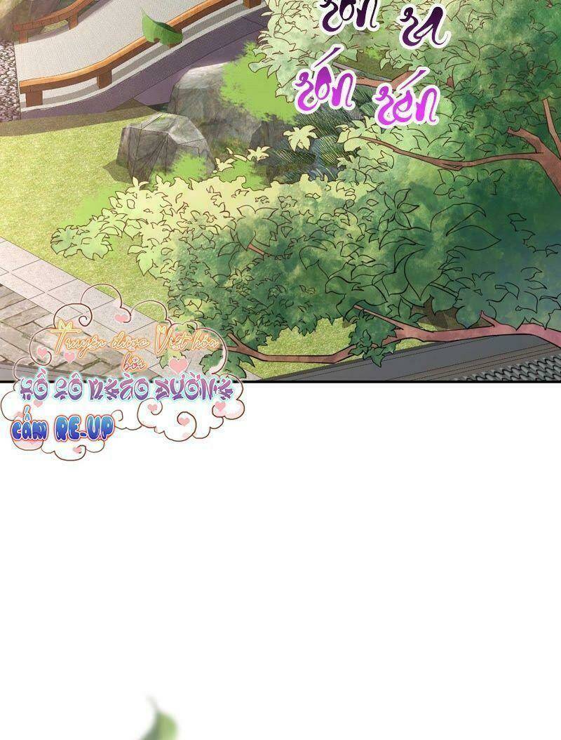 quận chúa vững vàng, thiết lập nhân vật không thể vỡ chapter 4 56