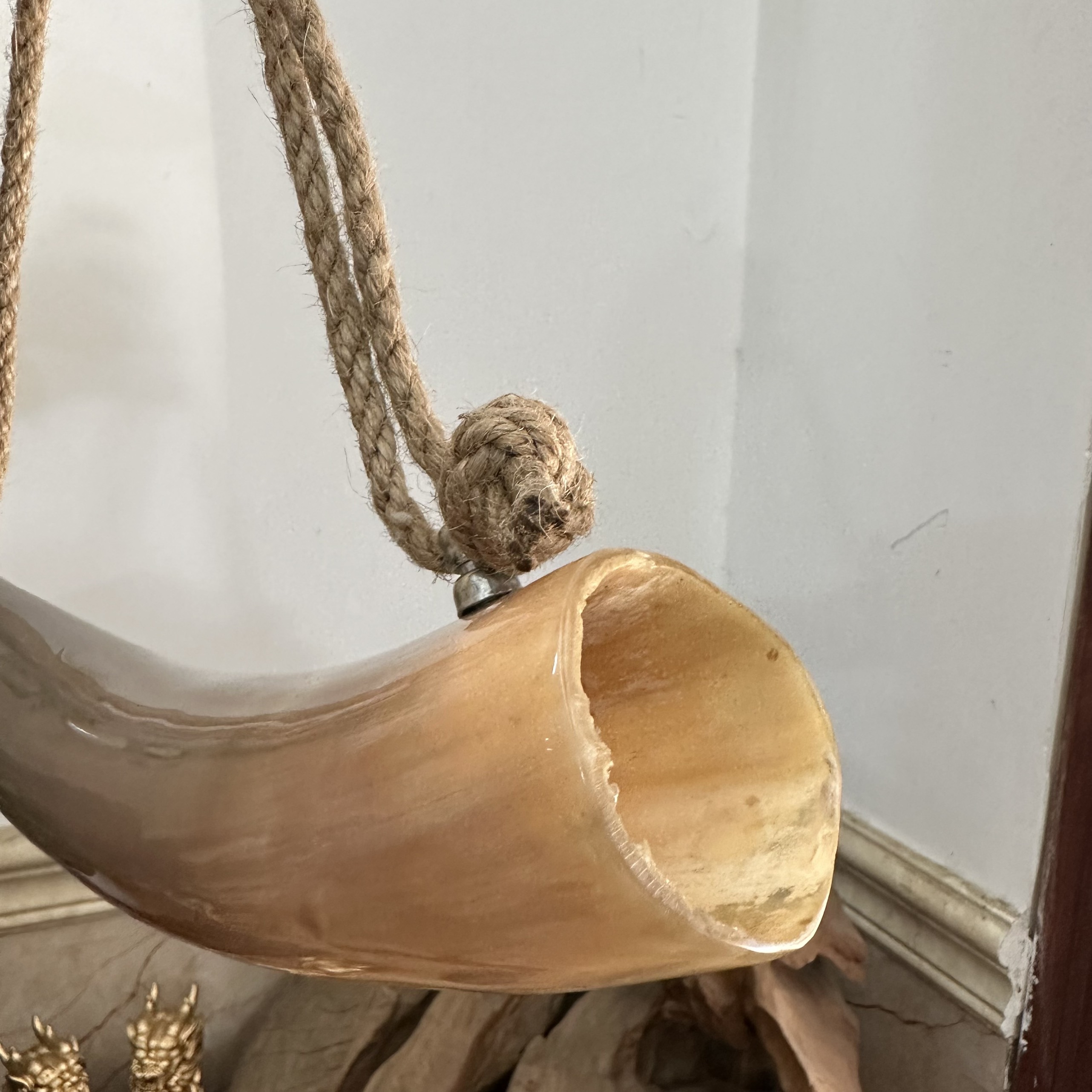 Kèn tù và sừng bò tự nhiên - Lưỡi gà bằng đồng cho âm thanh to vang xa - Màu sắc sừng tự nhiên