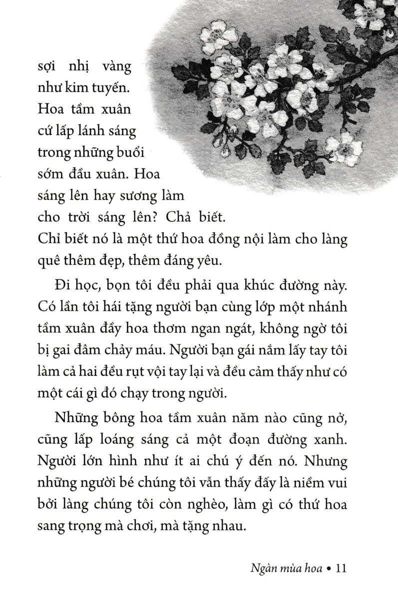 Ngàn Mùa Hoa - Nét Đẹp Thiên Nhiên (PNU)