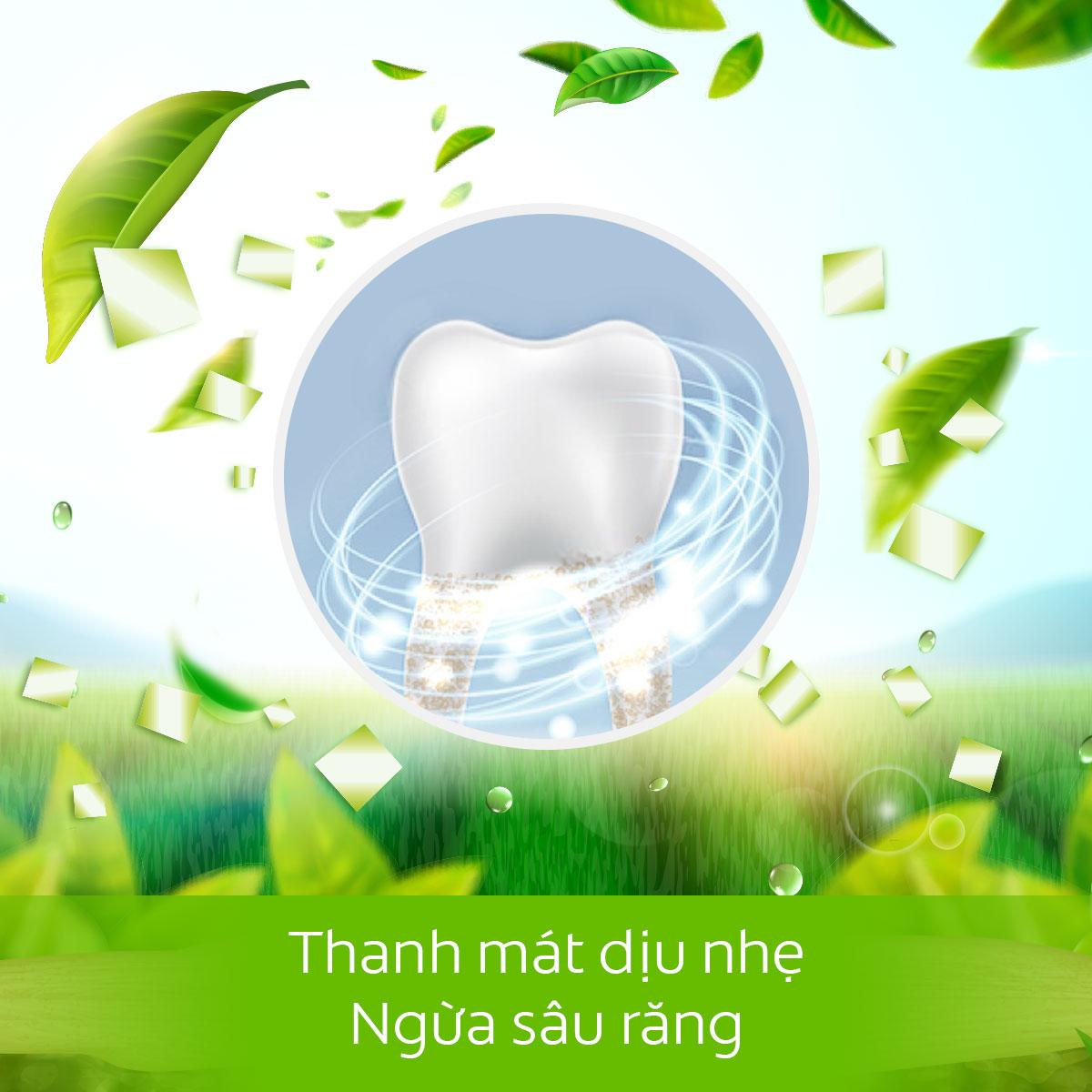 36 Kem đánh răng Colgate Trà Xanh the mát Maxfresh 225g/tuýp tặng bàn chải đánh răng lông tơ cao cấp