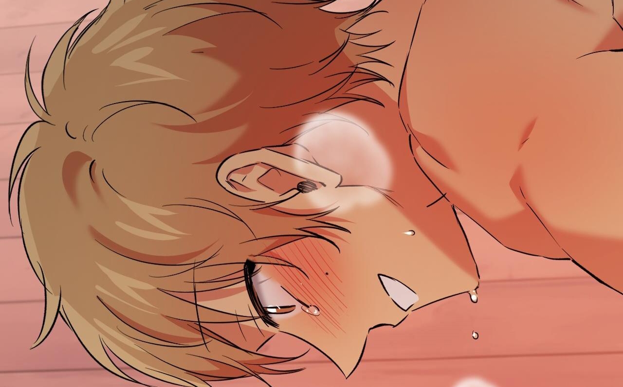 những chú thỏ của hapypy chapter 63 245