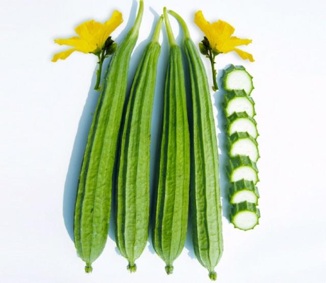 Hạt giống mướp khía