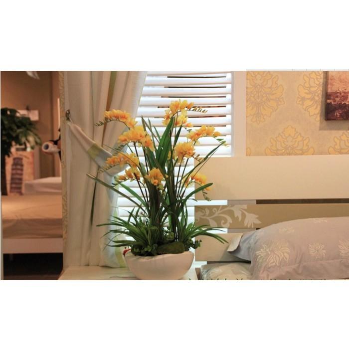 Một túi rêu xốp 6 viên trang trí tiểu cảnh, bể cá