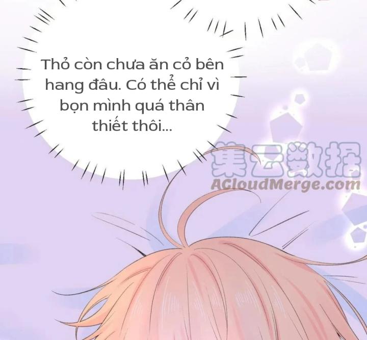 chanh vàng chapter 25 35