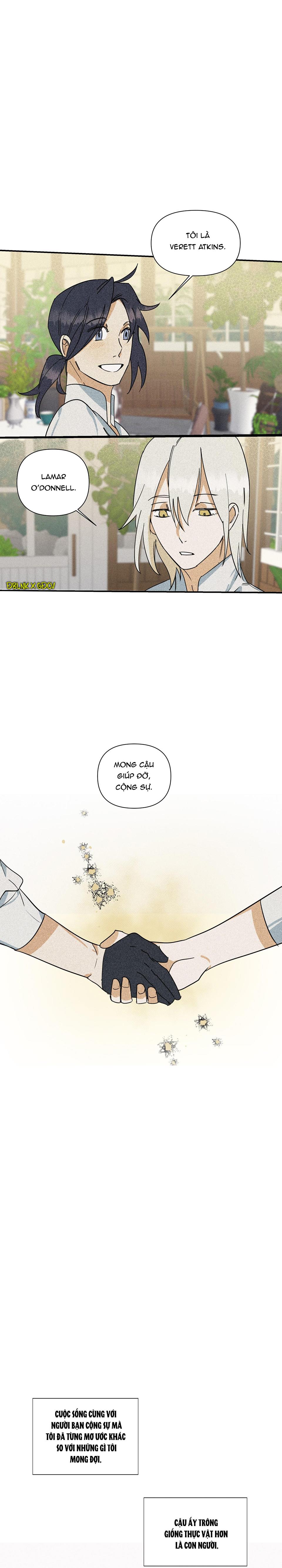 bl cổ trang - âu cổ ngắn nhà kim chapter 18.1 20