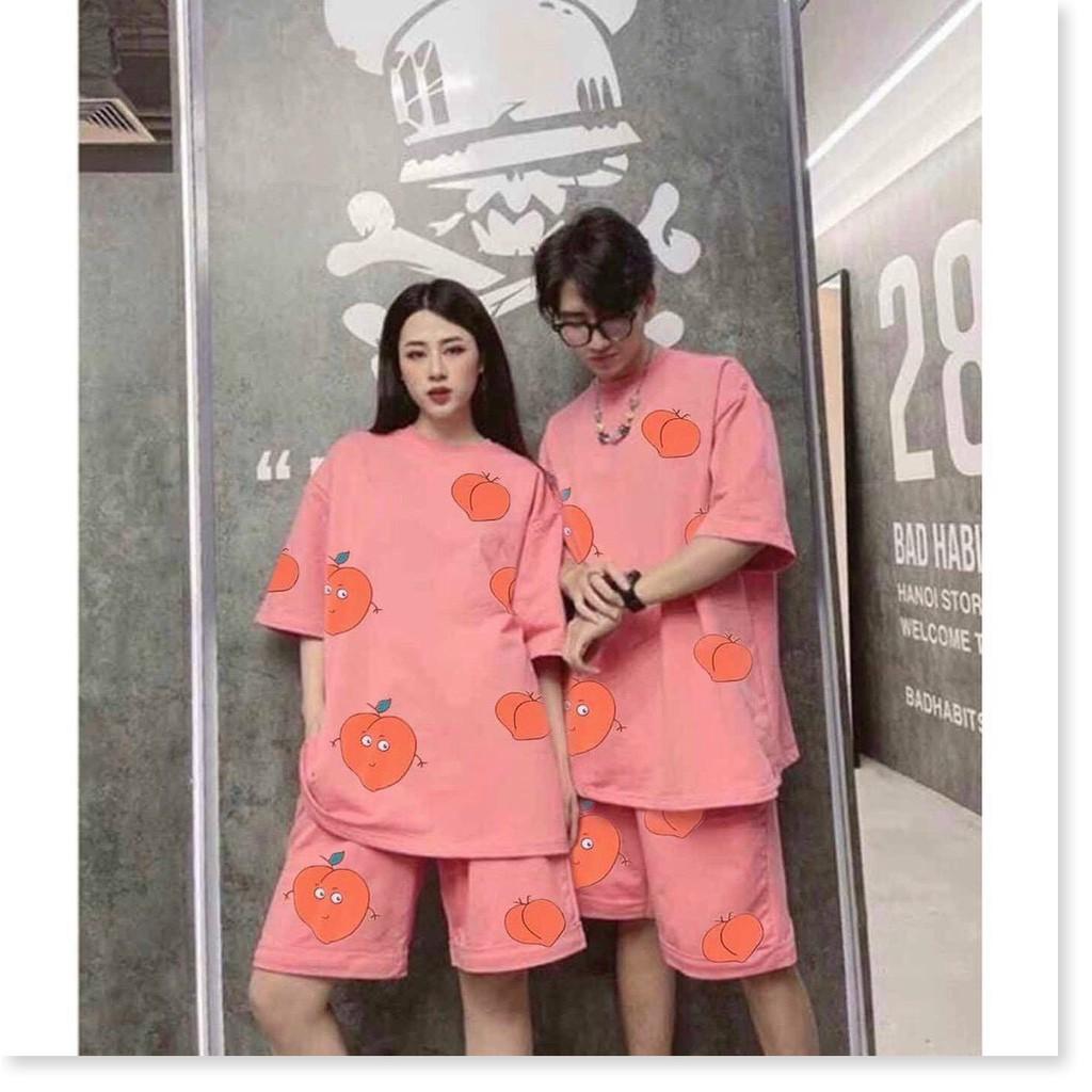 SET BỘ TRÁI BƠ CUTE