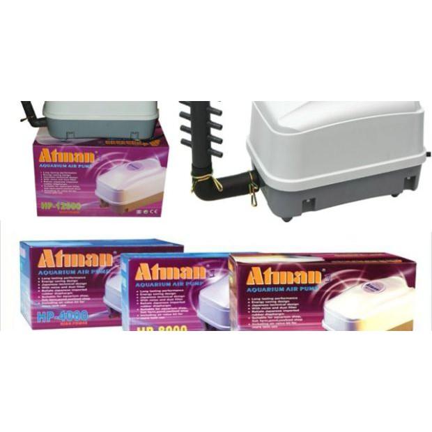 Máy sủi 10 vòi ATMAN HP 8000 . Hàng Mới , Bảo Hành