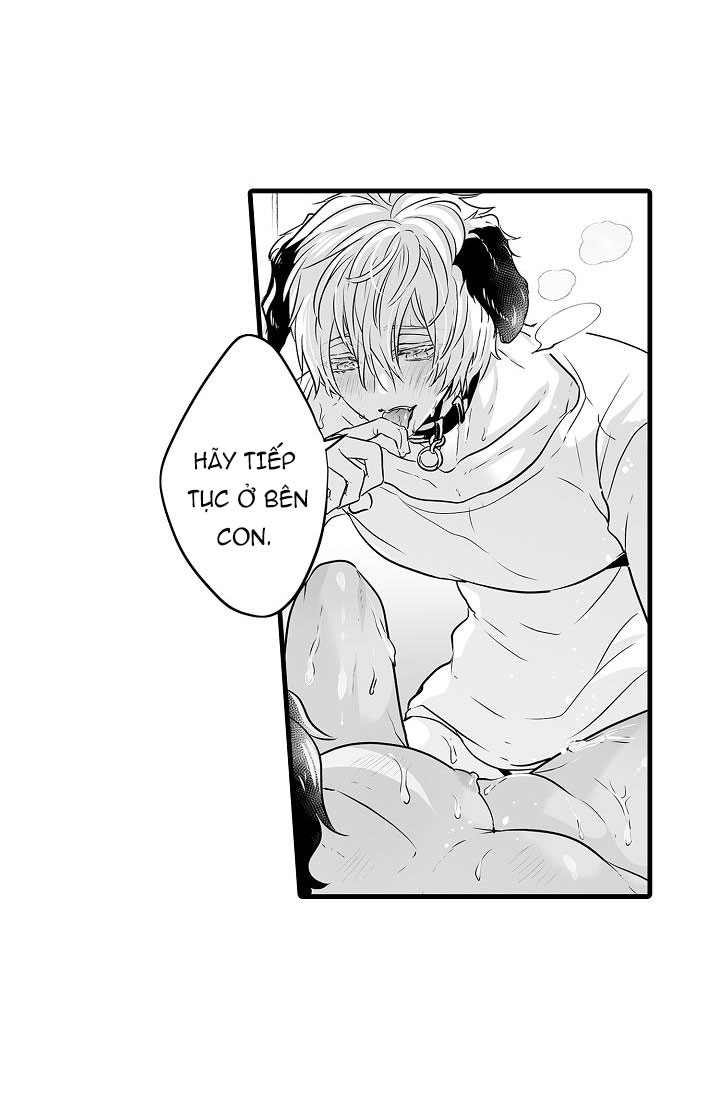 gấu ngủ đông chapter 8.2 3