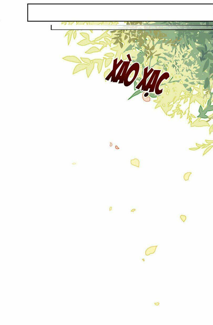 điều gì gọi là hấp dẫn tăng gấp đôi? chapter 4 34