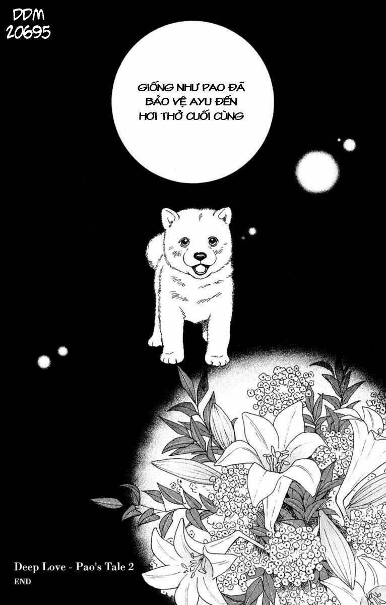 deep love - pao no monogatari chapter 11 37