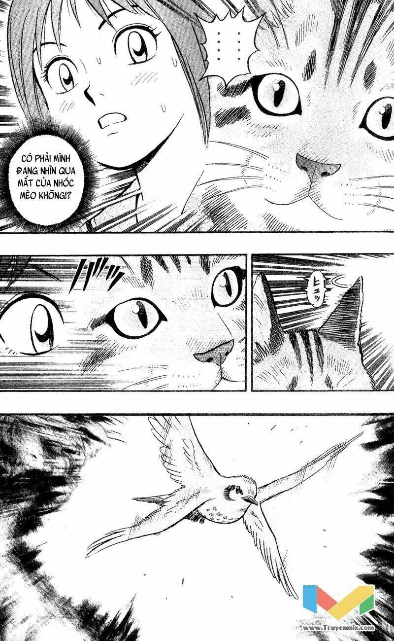 animal sense chapter 1 16