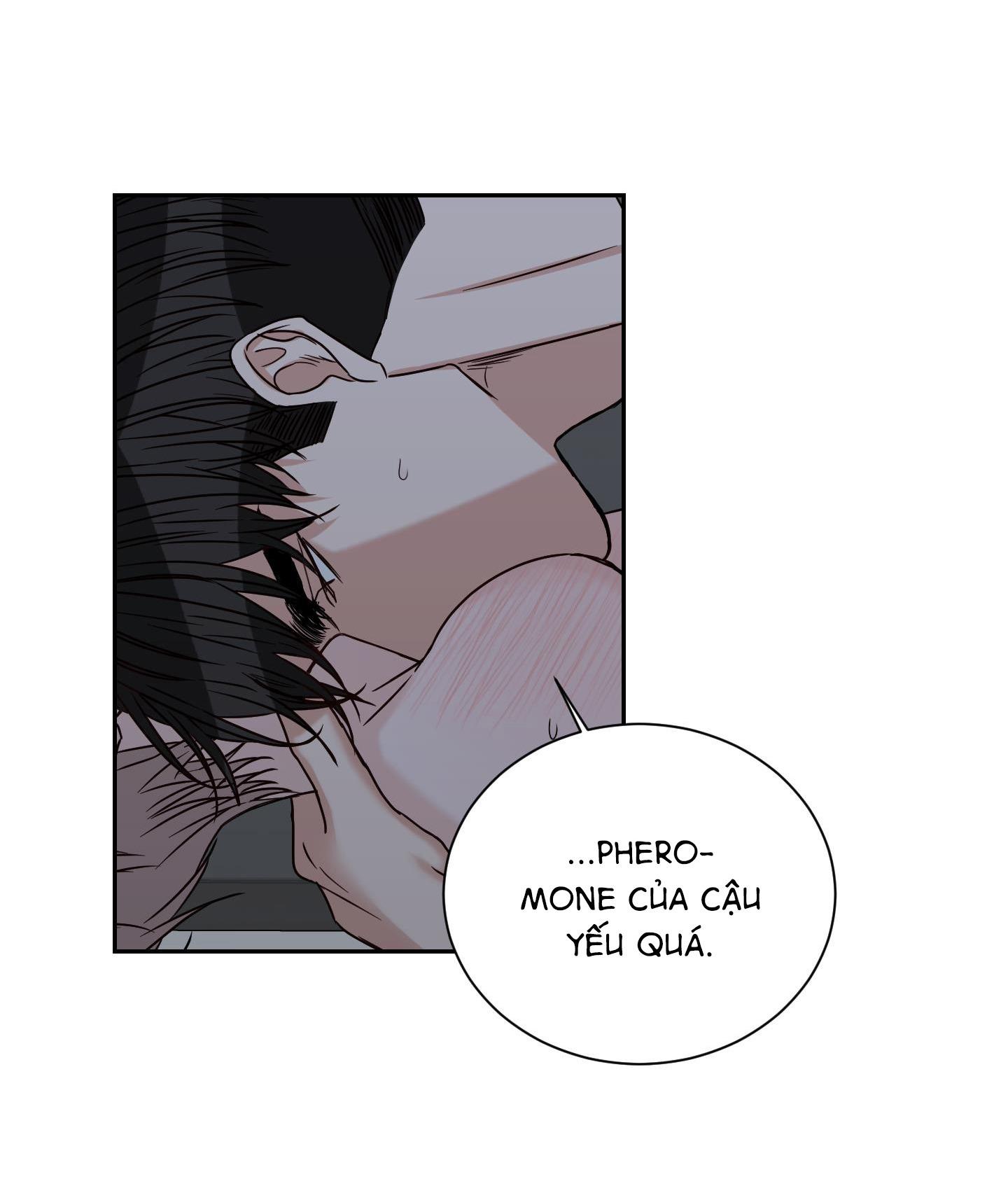 điểm dừng chân cuối cùng chapter 30 9