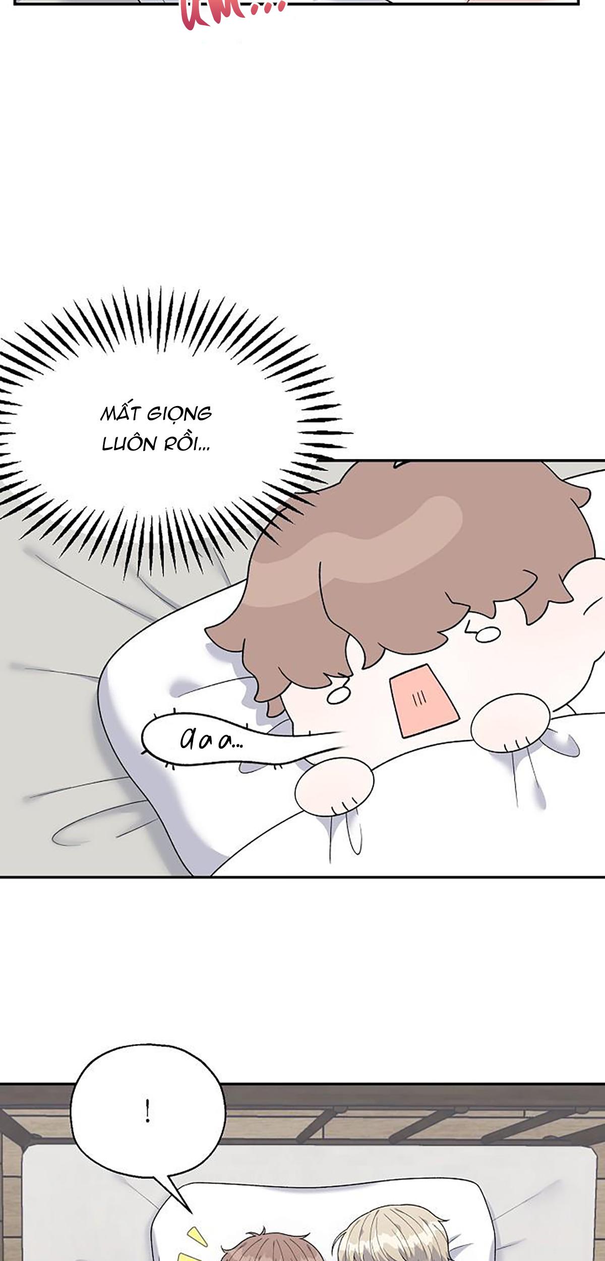 phân tán chapter 16 66