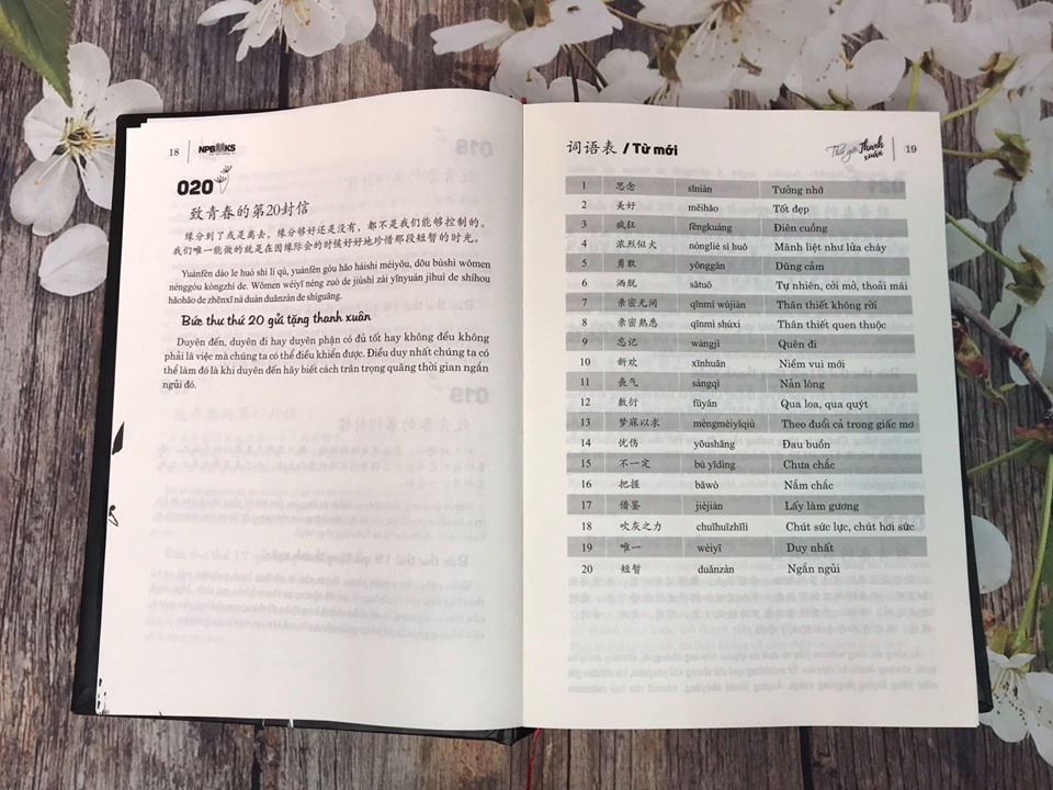 Combo 4 sách: Giáo trình phân tích chuyên sâu Ngữ Pháp theo Giáo trình Hán ngữ 6 cuốn + Bài tập tập 1 (Hán 1-2-3-4) + Bài tập tập 2 (Hán 5-6) và Gửi tôi thời thanh xuân song ngữ Trung việt có phiên âm có MP3 nghe + DVD tài liệu