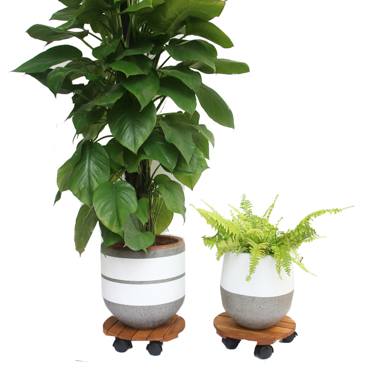 Combo 2 đế lót chậu cây có bánh xe Tròn Vuông R30