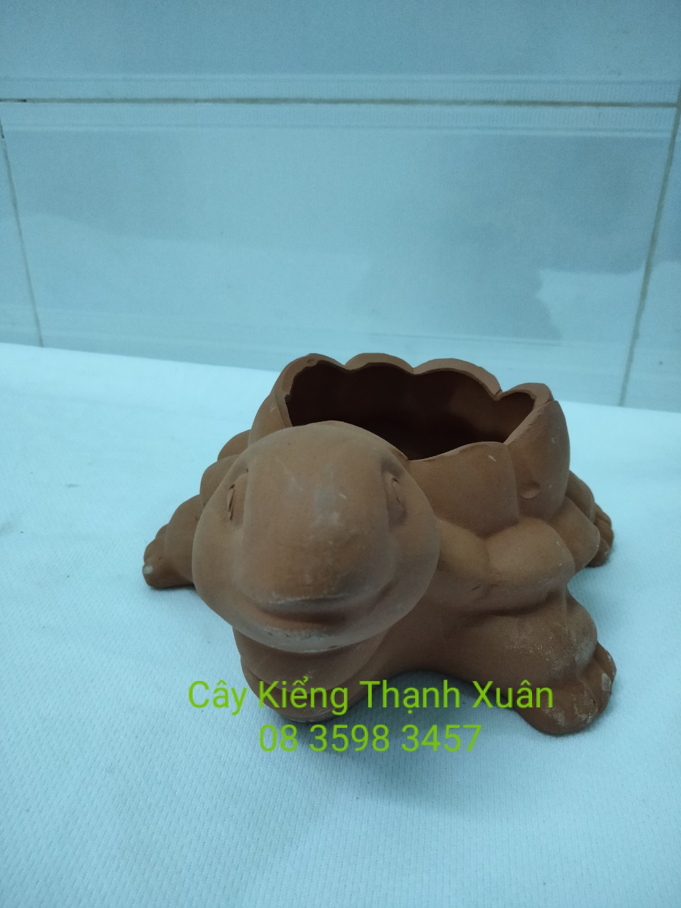 Chậu đất nung trồng cây - Chậu trồng cây sen đá, xương rồng chú rùa nhỏ  có lỗ thoát nước