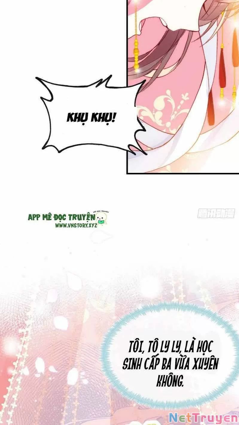 lại bị bệnh chiều chuộng quấn lấy chapter 1 9