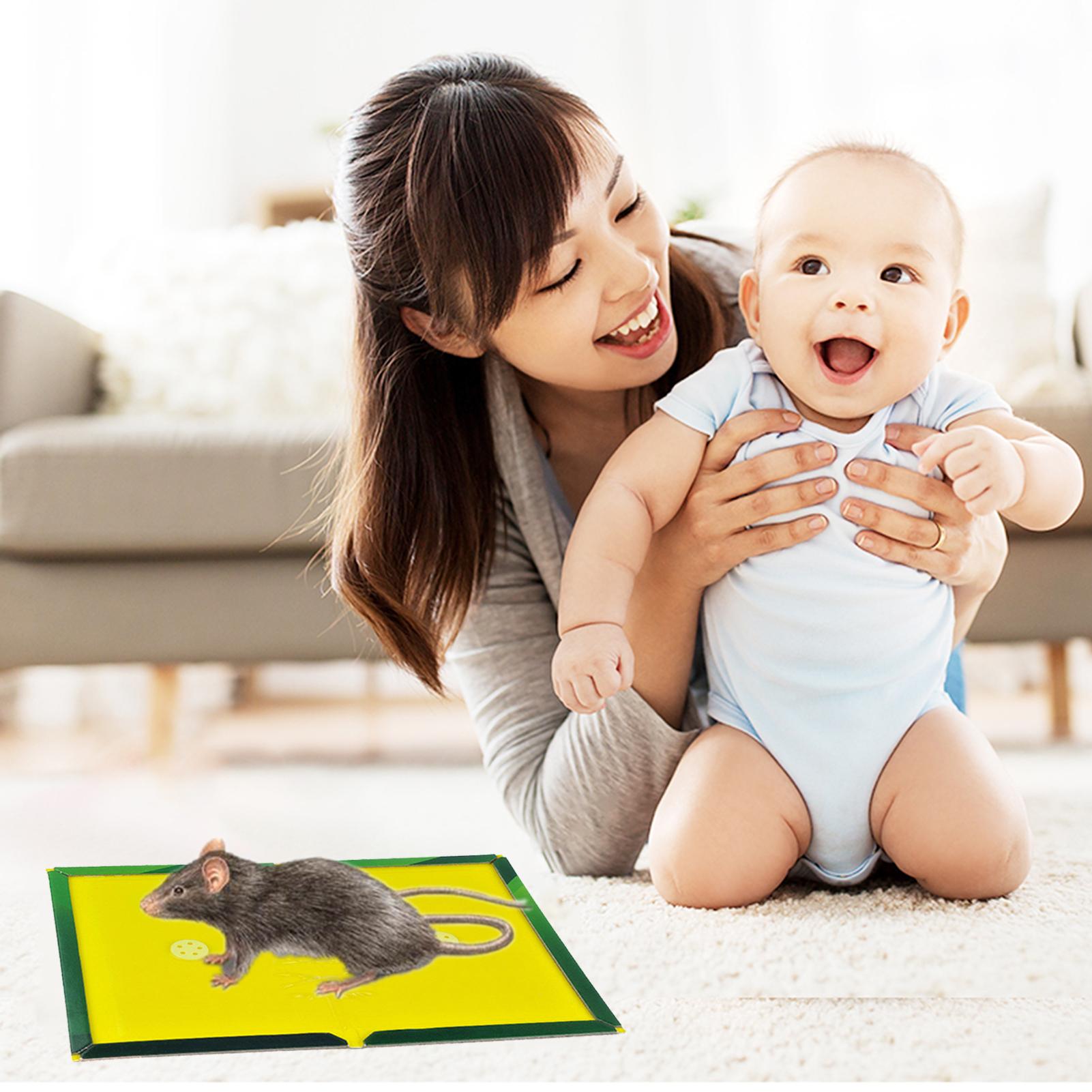 Bẫy chuột Snare Cather Pad sử dụng cho văn phòng , nhà ở