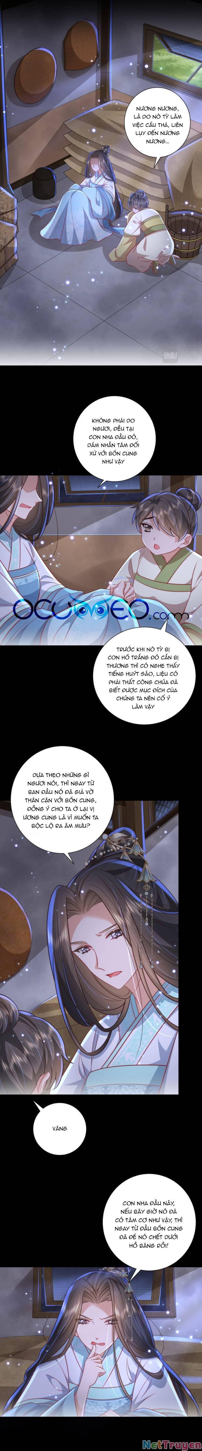 phương thức sinh tồn của công chúa pháo hôi chapter 43 8