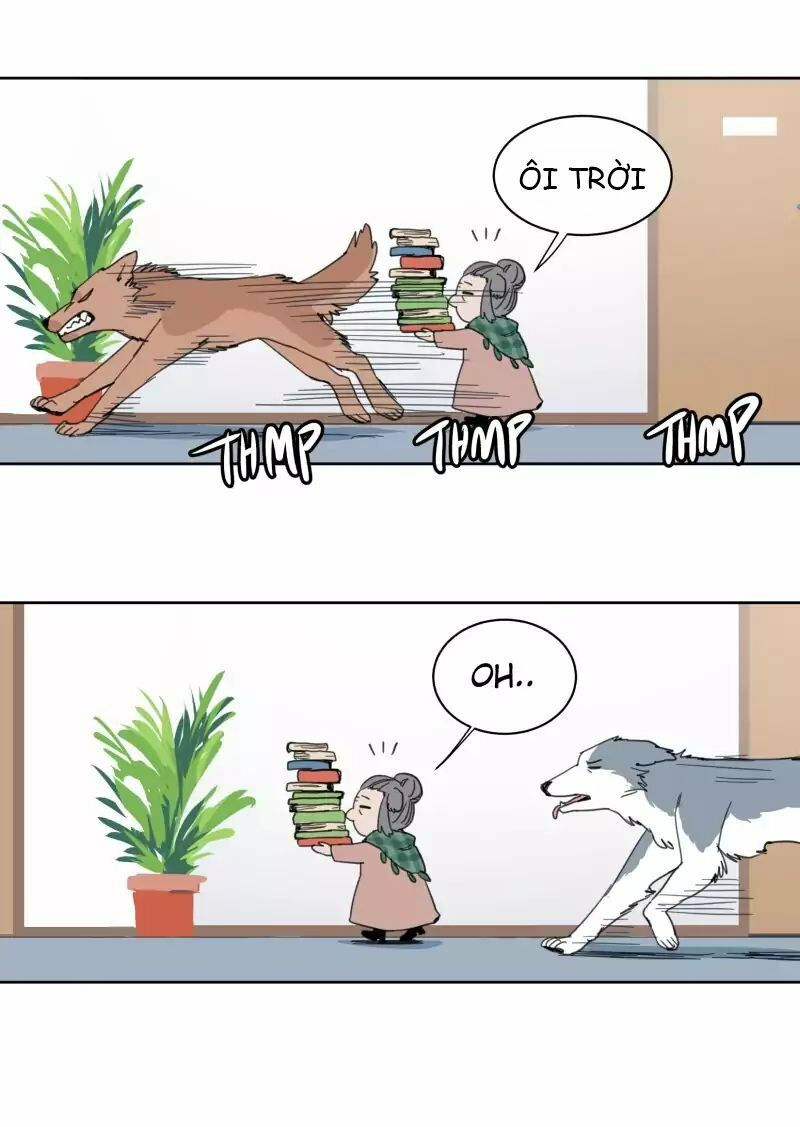 lumine - cội nguồn ánh sáng chapter 19 30