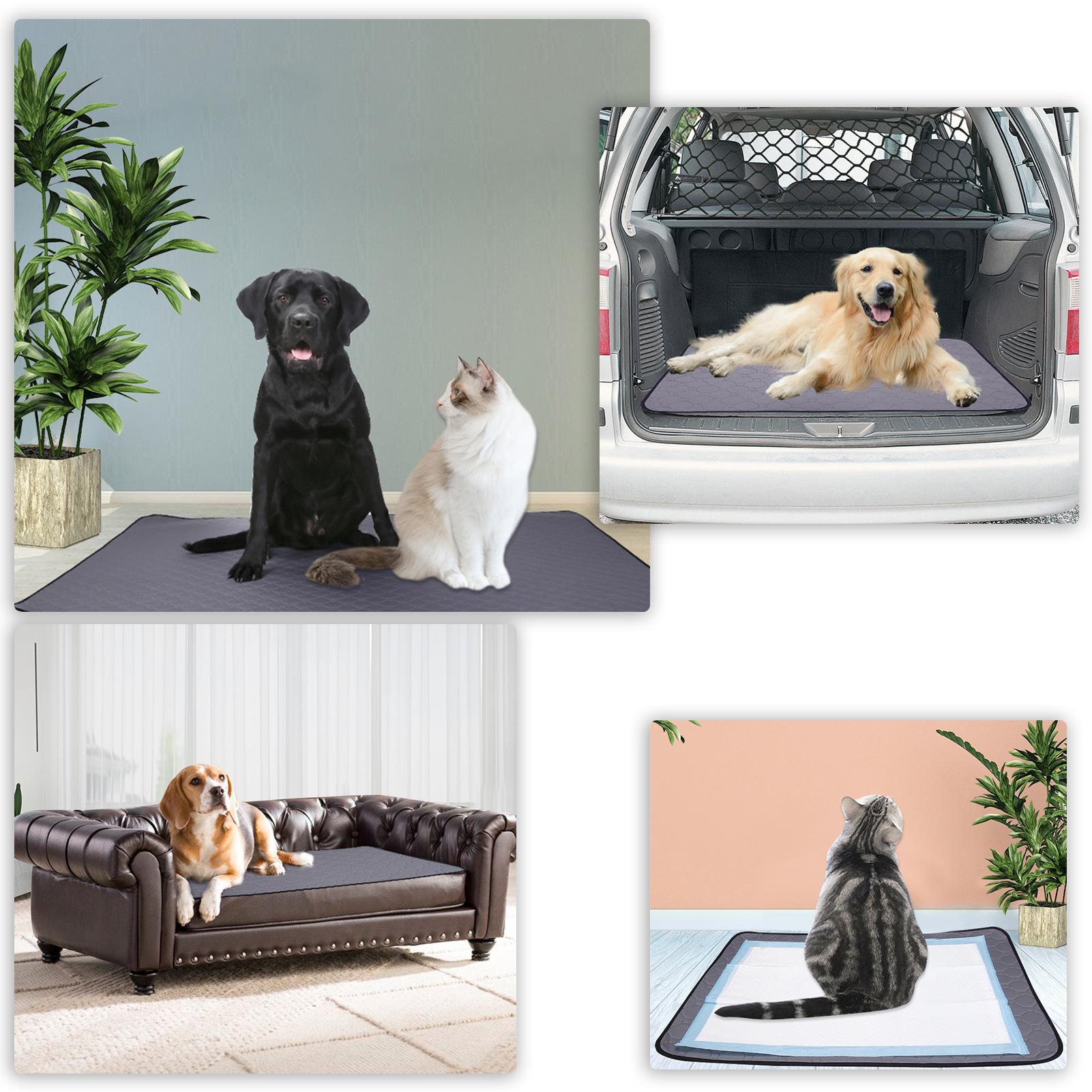 Miếng lót vệ sinh cho chó có thể giặt được, không trơn trượt