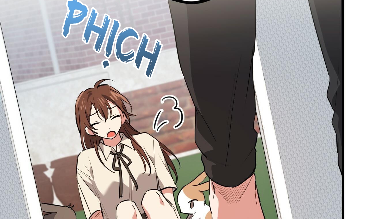 đàn thỏ của habibi chapter 39 204