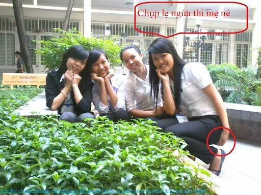 just troll chapter 26 37