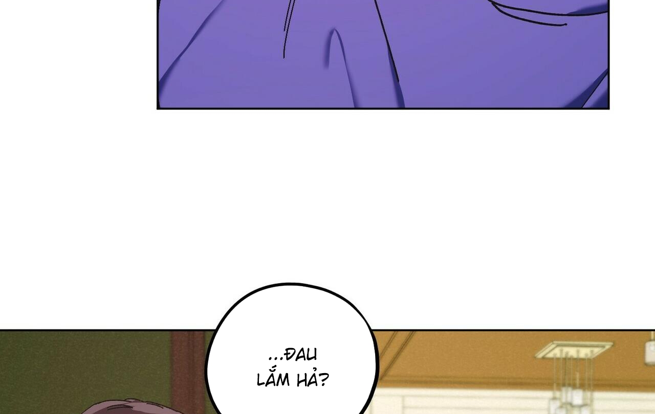 chàng dâu nhà họ kang chapter 28 124