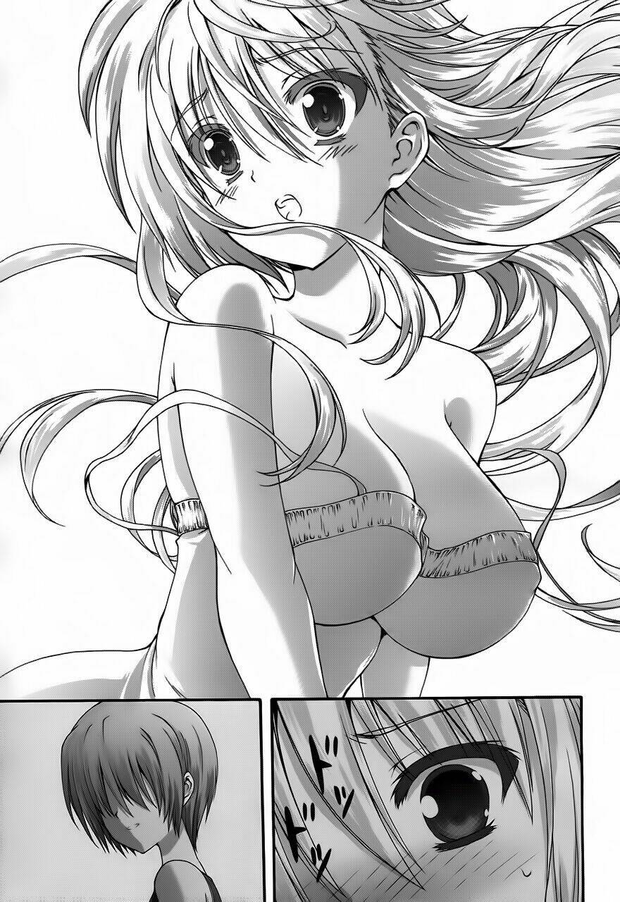 seikoku no dragonar chapter 11 14