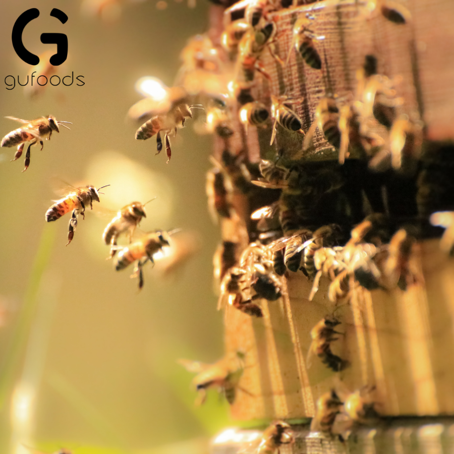 Mật ong nguyên chất GUfoods - Mật ong thật, 100% nguyên chất, Tốt cho sức khỏe