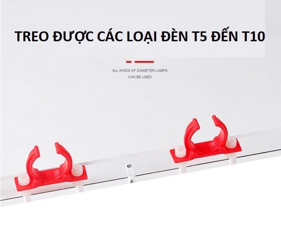 BAT AEROFIN TANNING CÁ RỒNG !!!!