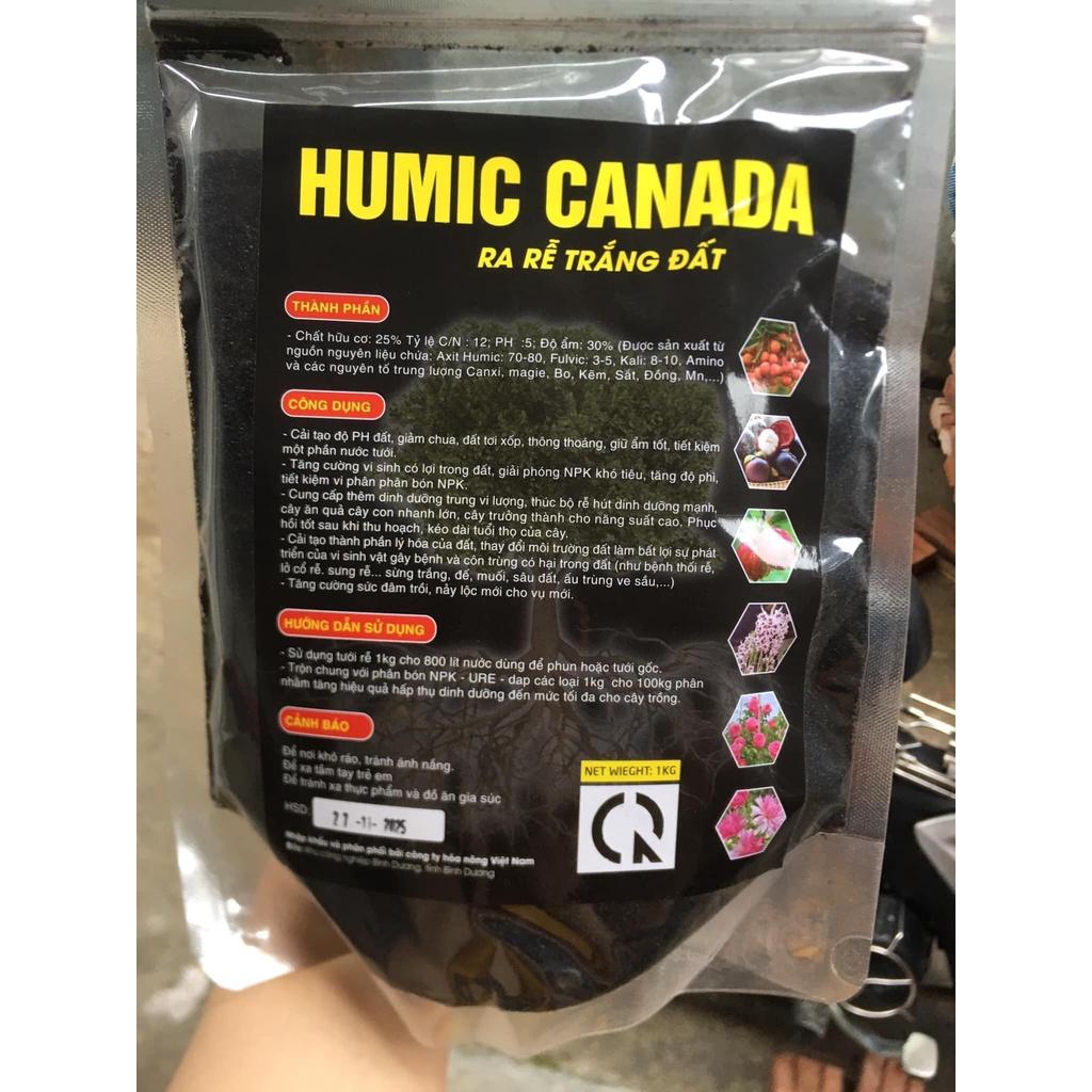 HUMIC CANADA " ra rễ trắng đất" :giảm chua đất, cải tạo độ ph đất