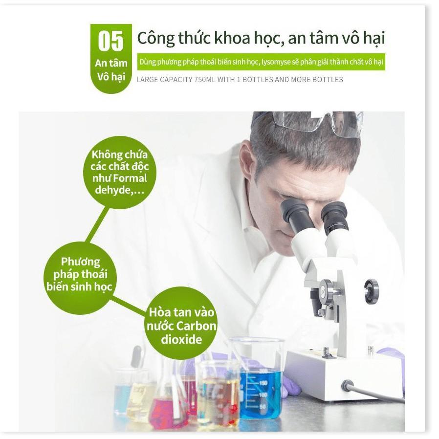 Loại bỏ nấm mốc nhanh, chống mốc Nano Enzyme