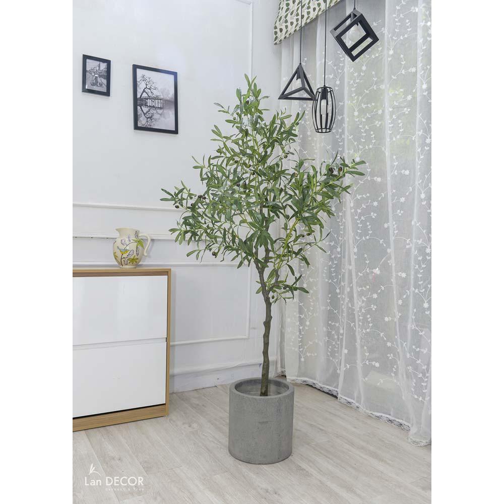 Cây giả - Cây oliu trang trí nhà, tiểu cảnh ban công đẹp cao 165cm - LC3045