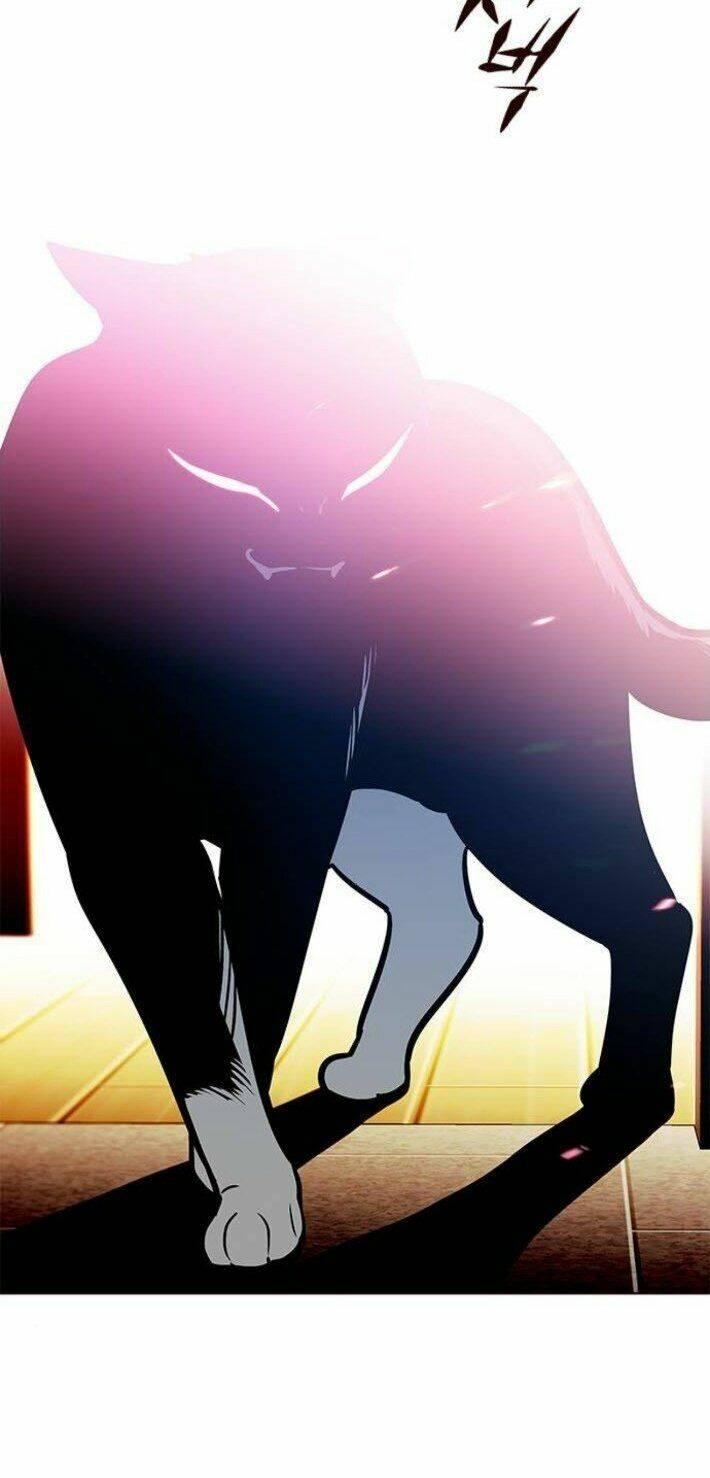 biến thân thành mèo chapter 141 60