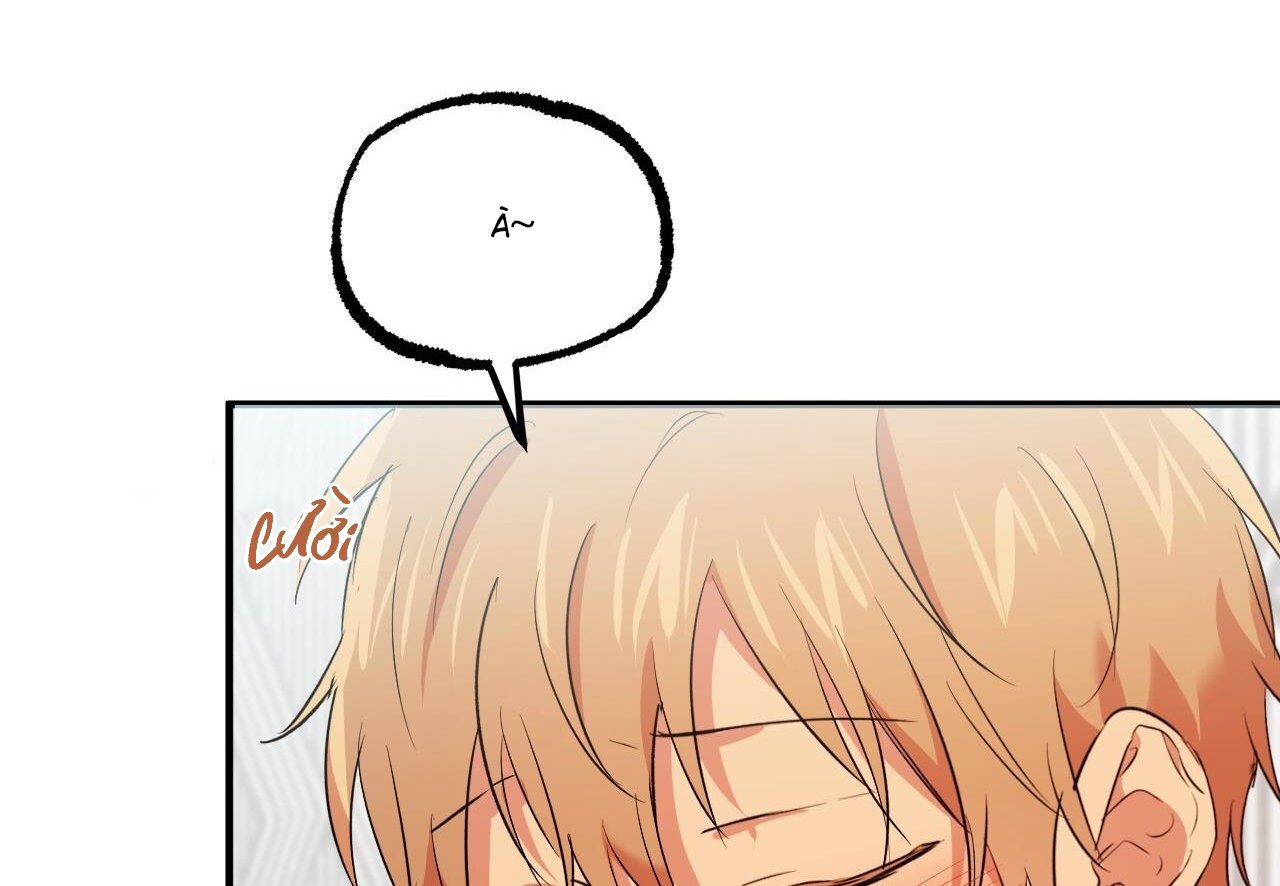 những chú thỏ của hapypy chapter 60 222